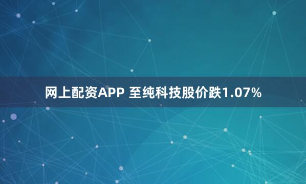 网上配资APP 至纯科技股价跌1.07%