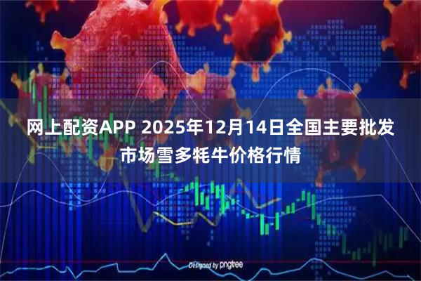网上配资APP 2025年12月14日全国主要批发市场雪多牦牛价格行情