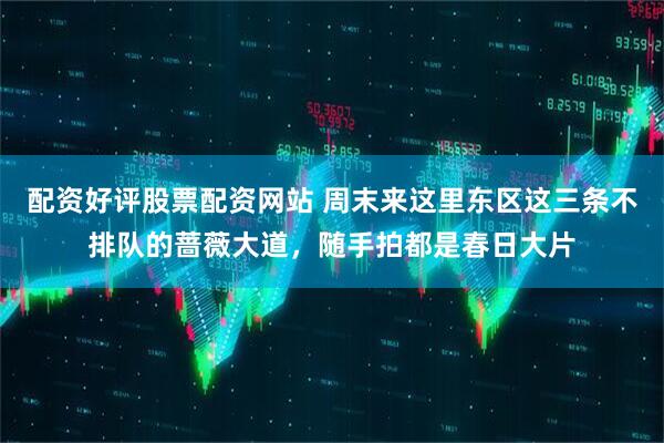 配资好评股票配资网站 周末来这里东区这三条不排队的蔷薇大道，随手拍都是春日大片